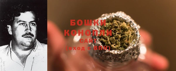 PSILOCYBIN Алексеевка