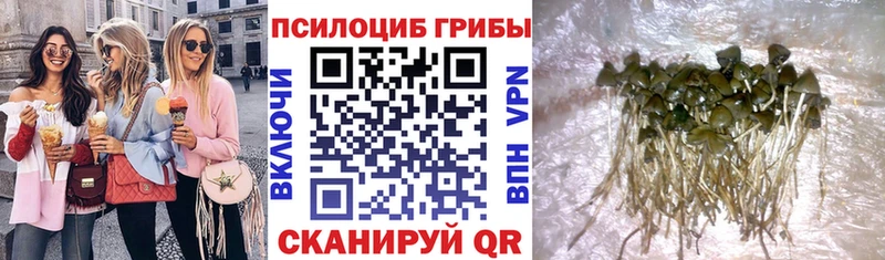 Псилоцибиновые грибы GOLDEN TEACHER  KRAKEN ССЫЛКА  Клинцы 